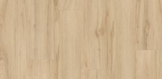Elm Natural