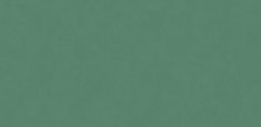 Patine Solid Green