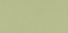 Chambray Green