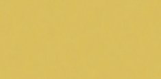 Patine Solid Yellow