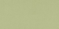 Chambray Green