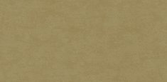 Stamp Olive