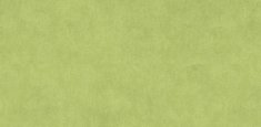 Stamp Green