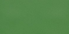 40642 apple