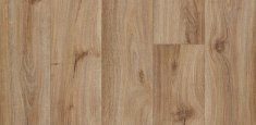 10832 hazelnut oak