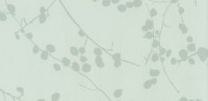 7007 Lichen