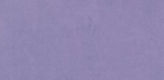 26537 lilac accent