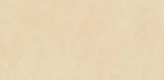26506 soft peach