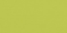 43C0808 anis
