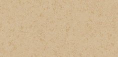43C2203 sable