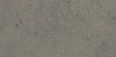 423572 gris moyen
