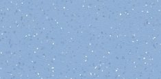 423837 myosotis