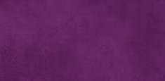 423707 aubergine