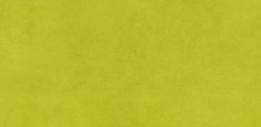 433778 333778 kiwi