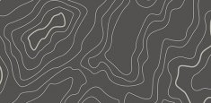 433919 gris