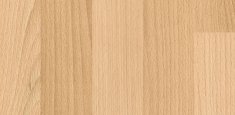 Beech Natural