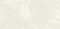 Jungle Grey