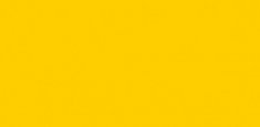 9947 Lemon Punch
