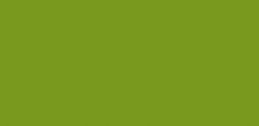 9941 Woodland Green