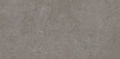 2828 Weathered Concrete