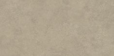 2987 Wet Concrete