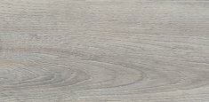 2818 Ashen Oak