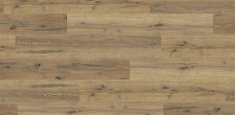 4101 Everglade Oak