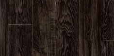Pecan D T99