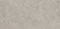 2342 Burnished Concrete