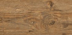 2249 Wild Amber Oak