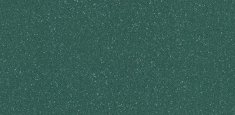 9851 Teal