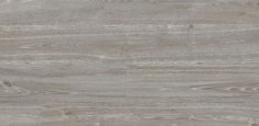 9826 Silver Oak