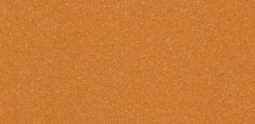 9848 Burnt Orange