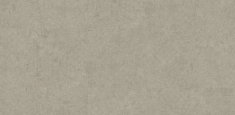 2586 Light Grey Ornamental