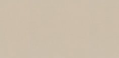 2580 Beige Mono