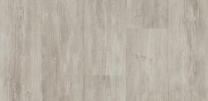 2894 Grey Pine