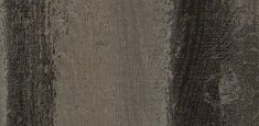 w60664 Black Pine