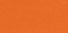 0170 Kumquat Orange
