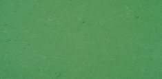 0006 Vivid Green