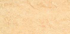 0040 Light Sahara