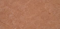 0003 Dark Brown