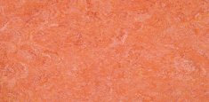 0019 Sunset Orange