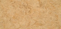 0070 Rocky Brown