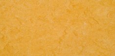 0072 Golden Yellow