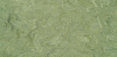 0100 Frog Green