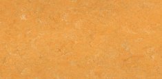 0173 Melon Orange