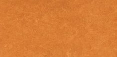 0174 Physalis Orange