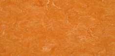 0073 Spicy Orange