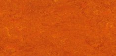 0117 Mandarin Orange