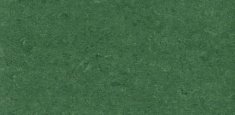 0041 Avocado Green